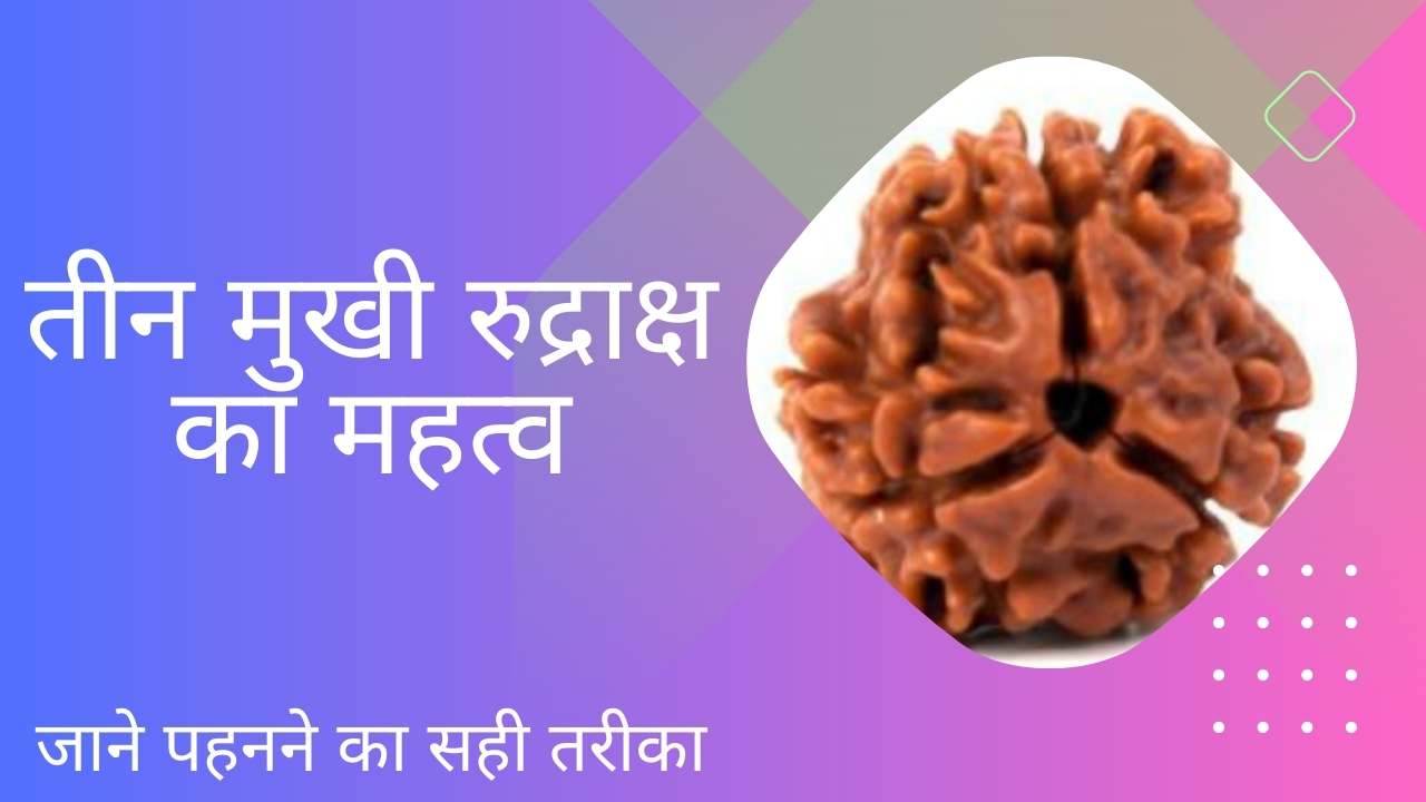 3 Mukhi Rudraksha Benefits in hindi