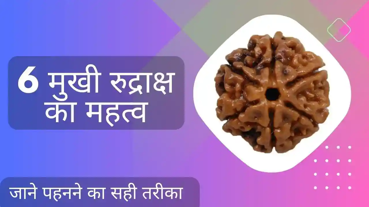 6 Mukhi Rudraksha benefits in Hindi